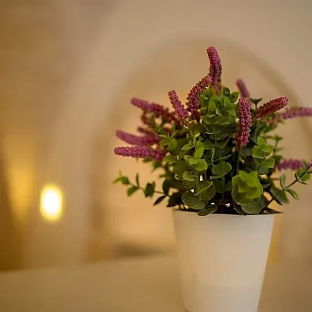 Nocleg ze śniadaniem Luxury Cassese